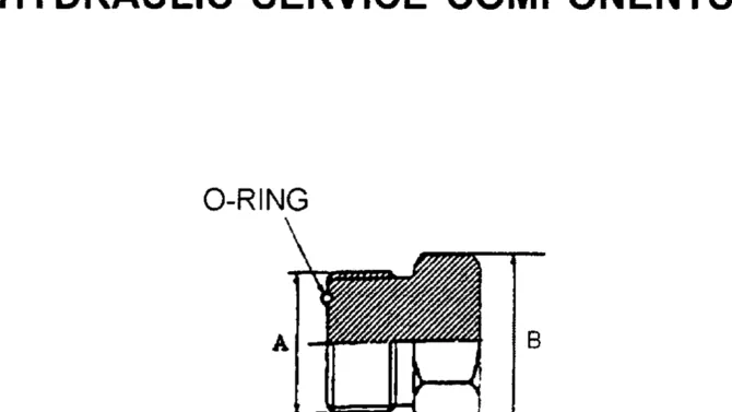 00-008 HYDRAULIC SERVICE COMPONENTS--O-RINGS-SK200-6E SK210LC-6E SK200-6ES SK200LC-6E Kobelco Excavator Parts Number Electronic Catalog EPC Manuals