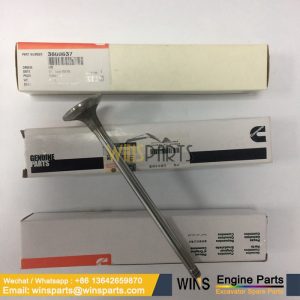 3800637 3417779 3417715 3080976 Cummins M11 ISM11 QSM11 Exhaust Valve
