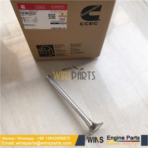 135957 20 145701 20 3006456 20 Cummins NTA855 NT855 ENGINE Valve