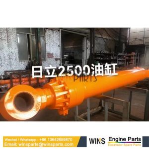 4436678 4436679 4402135 CYLINDER ASSY Hitachi EX2500-5 EX2500-6